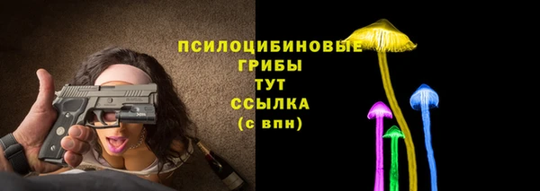 прущие грибы Абдулино