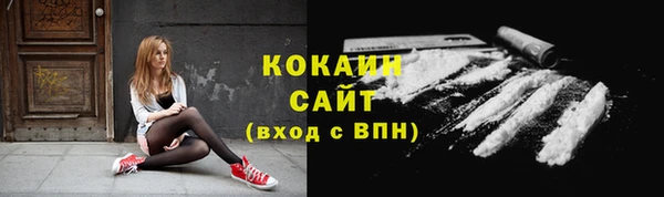 прущие грибы Абдулино