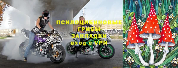 прущие грибы Абдулино
