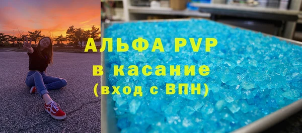 прущие грибы Абдулино