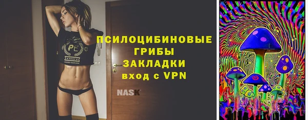 прущие грибы Абдулино