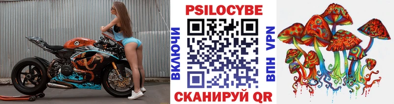 Галлюциногенные грибы мицелий  наркотики  кракен рабочий сайт  Трубчевск 